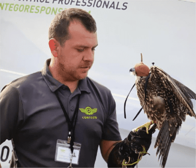 Technician with a falcon
