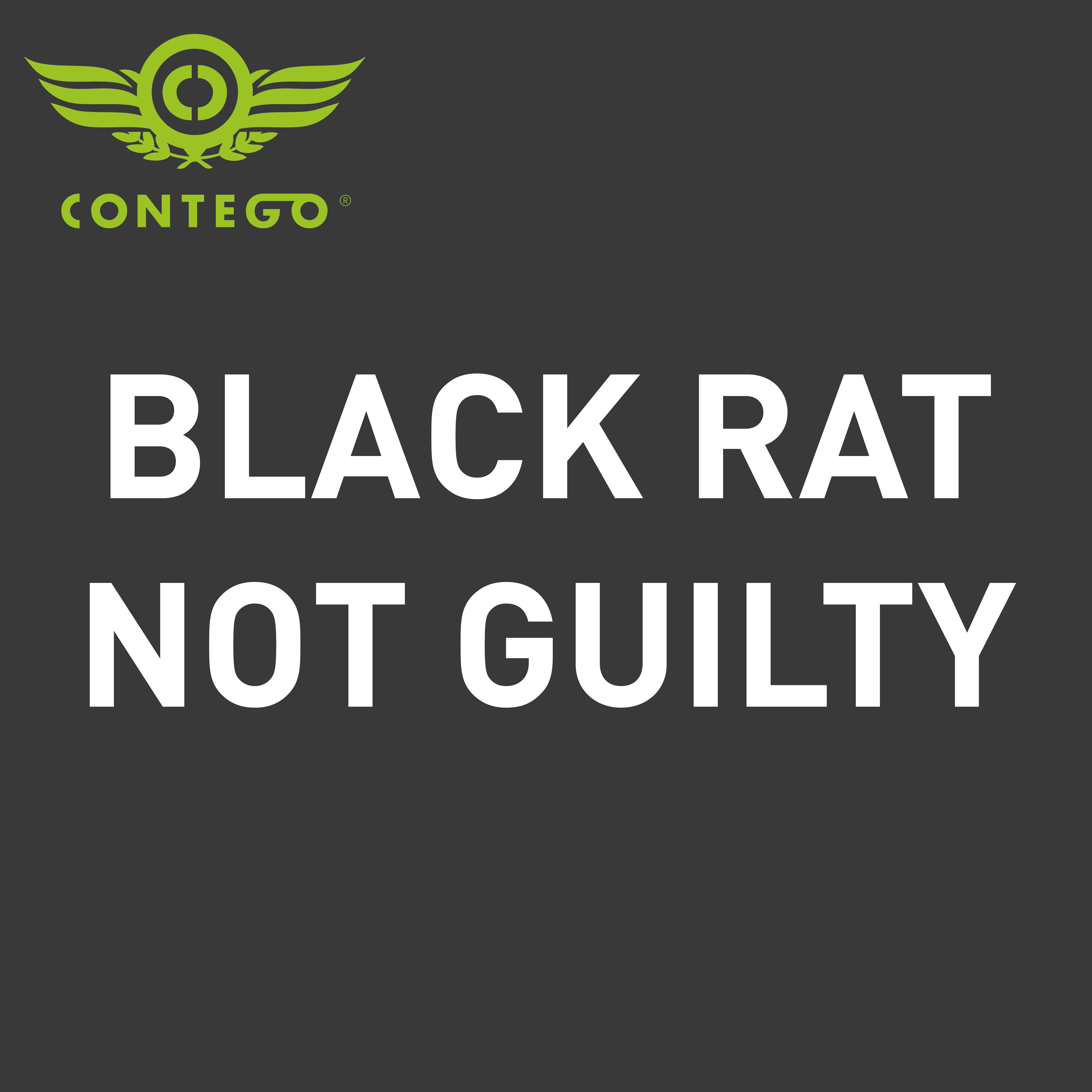 Black rat not guilty